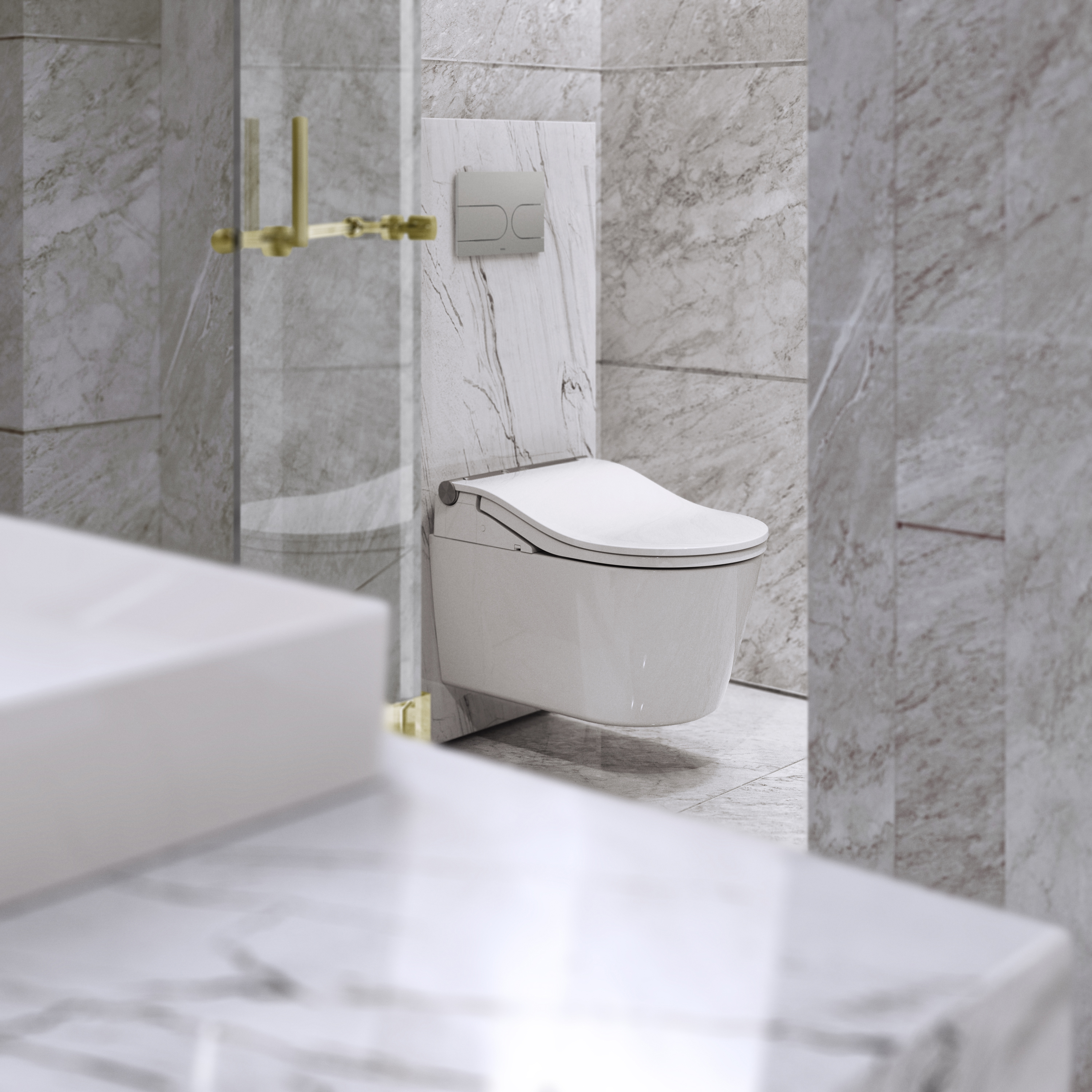 WASHLET® RW auto flush TCF802C2G