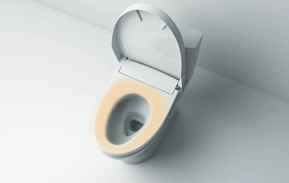 WASHLET® RG Lite со скрытым подключением TCF34170GEU